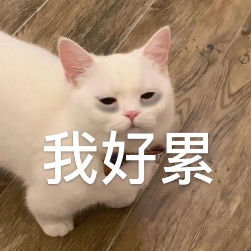 我好累